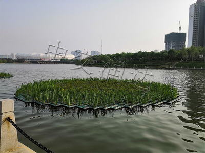 中交润达-生态浮床-人工浮岛-水上种植